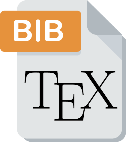 BibTex file icon